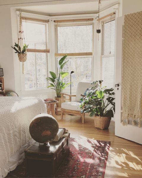 brown wooden framed white padded chair in between green indoor leaf plants inside bedroom